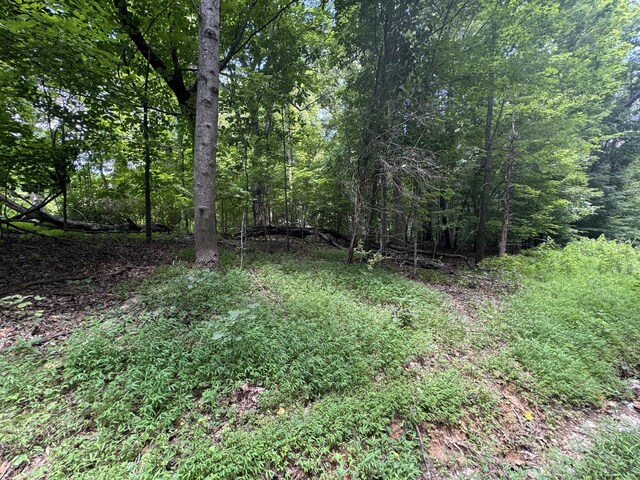 0 Old Stage Rd, Dickson, TN 37055 - photo 1
