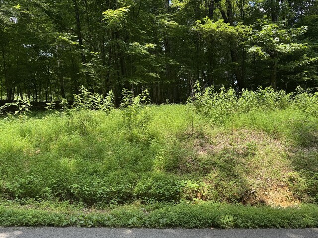 0 Old Stage Rd, Dickson, TN 37055 - photo 4