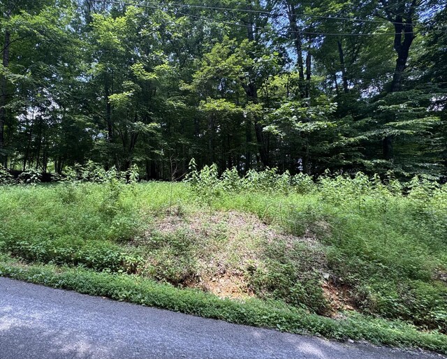 0 Old Stage Rd, Dickson, TN 37055 - photo 5