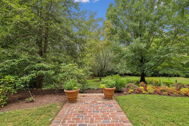 view of yard with a patio area