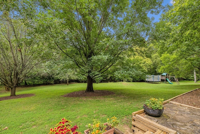 view of yard featuring a playground