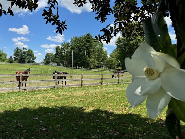 view of community featuring a rural view and a lawn