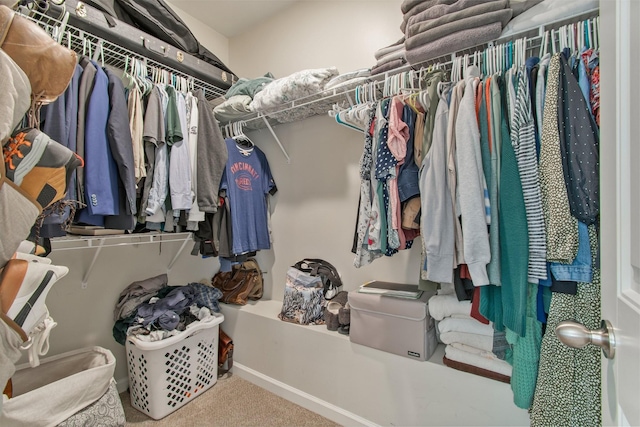 spacious closet featuring carpet floors