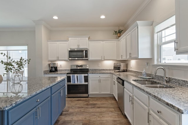 kitchen with wood finished floors, blue cabinetry, a sink, stainless steel appliances, and white cabinetry