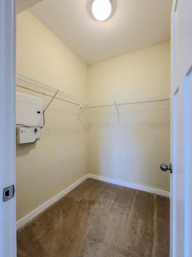 spacious closet featuring carpet flooring