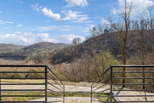 mountain view with a forest view