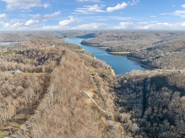 birds eye view of property featuring a water view and a wooded view