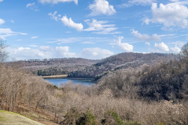 property view of mountains featuring a forest view and a water view