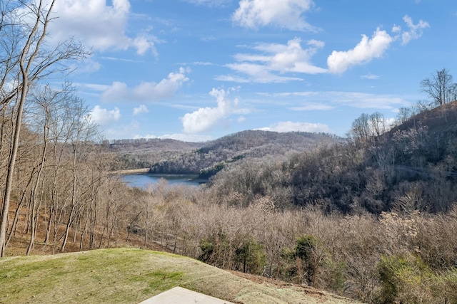 mountain view featuring a water view and a view of trees