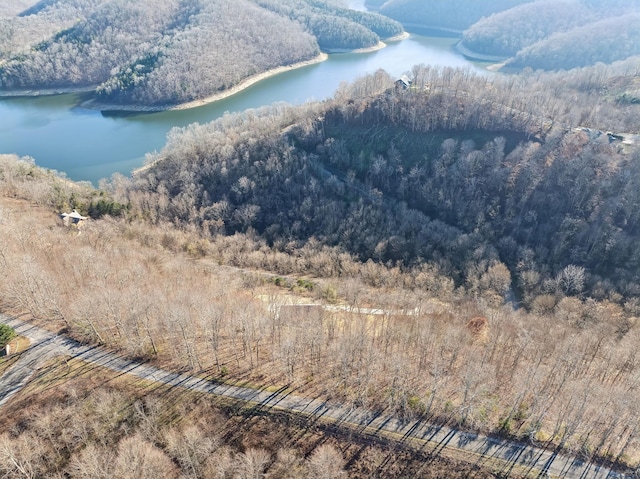 drone / aerial view featuring a water view and a view of trees