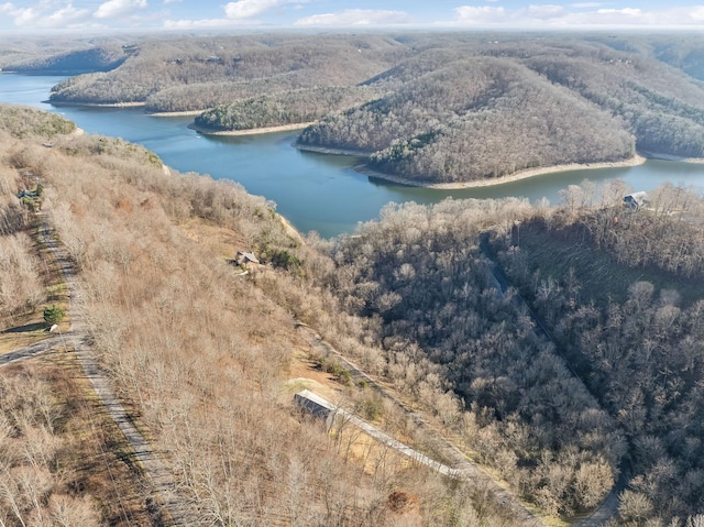 birds eye view of property with a forest view and a water view