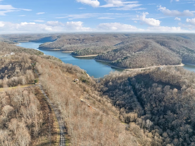 birds eye view of property with a water view and a view of trees