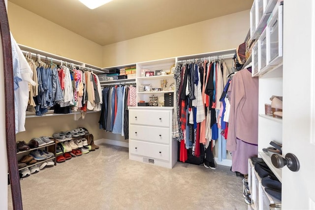 spacious closet featuring carpet