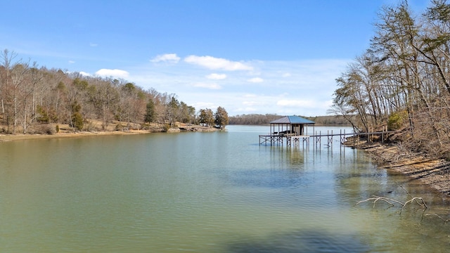 15887 Channel Pointe Dr, Sale Creek TN, 37373 land for sale