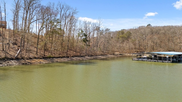 Listing photo 3 for 15887 Channel Pointe Dr, Sale Creek TN 37373