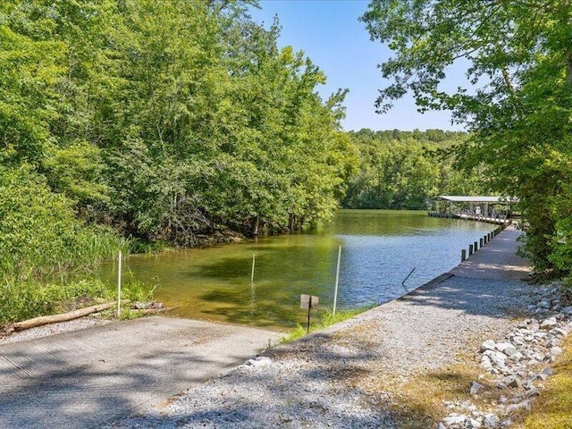 15887 Channel Pointe Dr, Sale Creek, TN 37373 - photo 45
