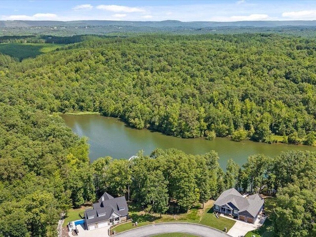 15887 Channel Pointe Dr, Sale Creek, TN 37373 - photo 1