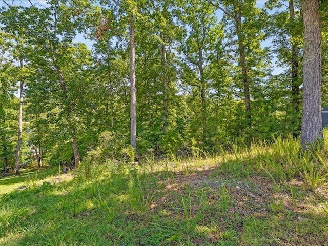 15887 Channel Pointe Dr, Sale Creek, TN 37373 - photo 27