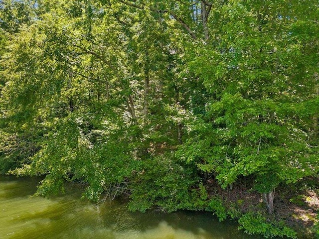 15887 Channel Pointe Dr, Sale Creek, TN 37373 - photo 49