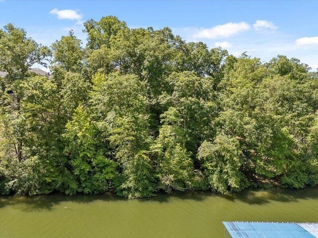15887 Channel Pointe Dr, Sale Creek, TN 37373 - photo 21