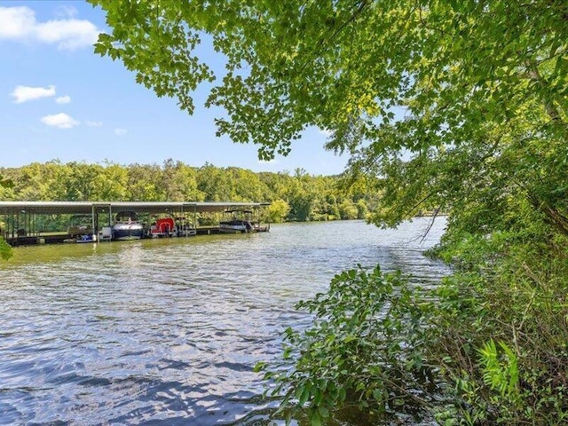 15887 Channel Pointe Dr, Sale Creek, TN 37373 - photo 2