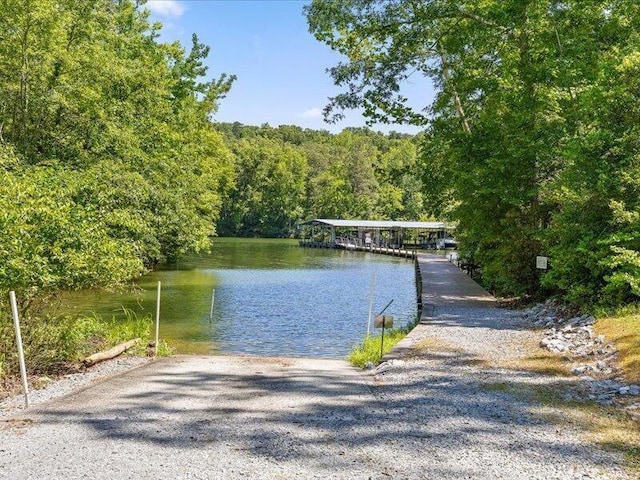 15887 Channel Pointe Dr, Sale Creek, TN 37373 - photo 48