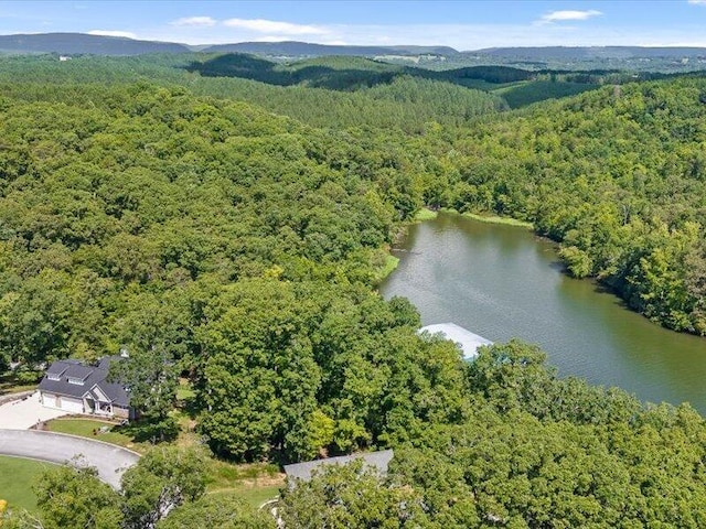 15887 Channel Pointe Dr, Sale Creek, TN 37373 - photo 16