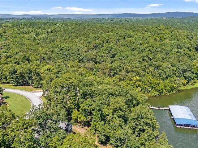 15887 Channel Pointe Dr, Sale Creek, TN 37373 - photo 14