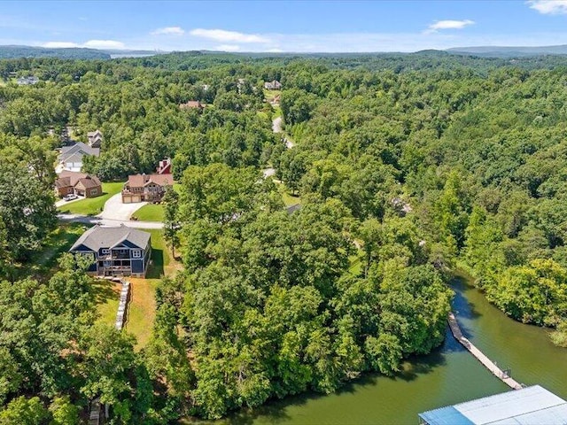 15887 Channel Pointe Dr, Sale Creek, TN 37373 - photo 11