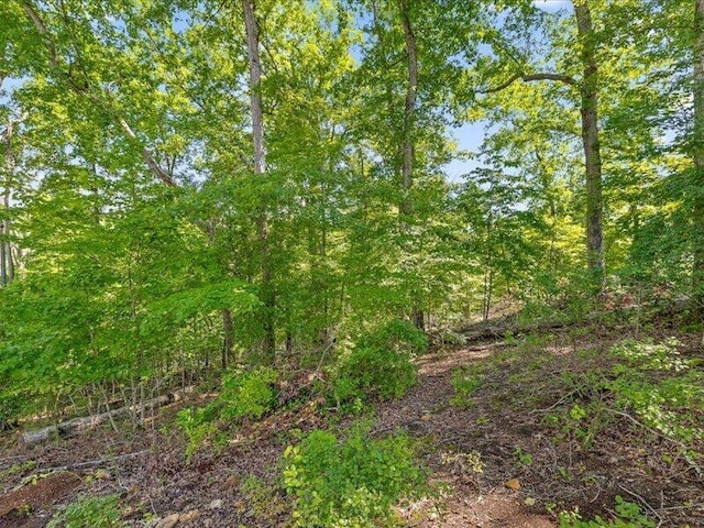 15887 Channel Pointe Dr, Sale Creek, TN 37373 - photo 29