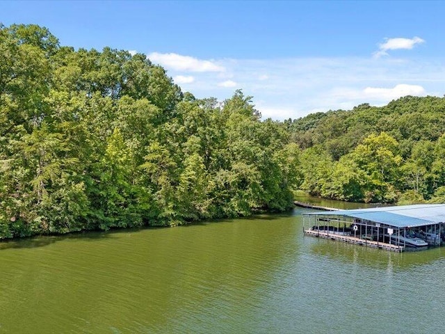 15887 Channel Pointe Dr, Sale Creek, TN 37373 - photo 40