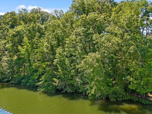 15887 Channel Pointe Dr, Sale Creek, TN 37373 - photo 42