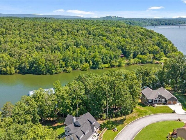 15887 Channel Pointe Dr, Sale Creek, TN 37373 - photo 4