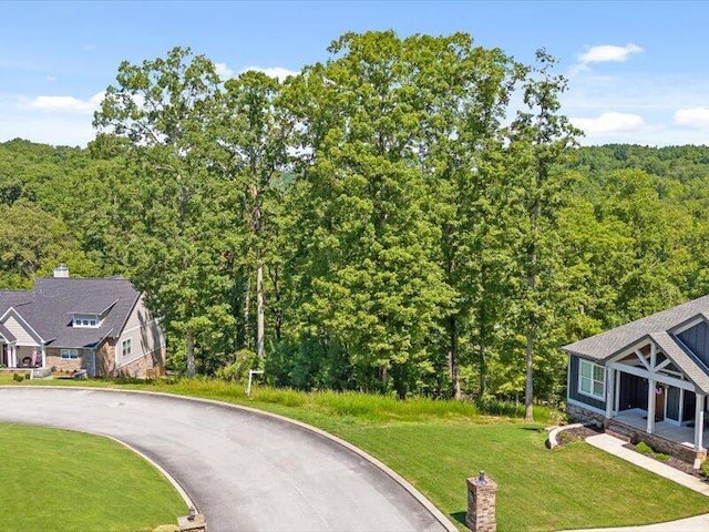 15887 Channel Pointe Dr, Sale Creek, TN 37373 - photo 52