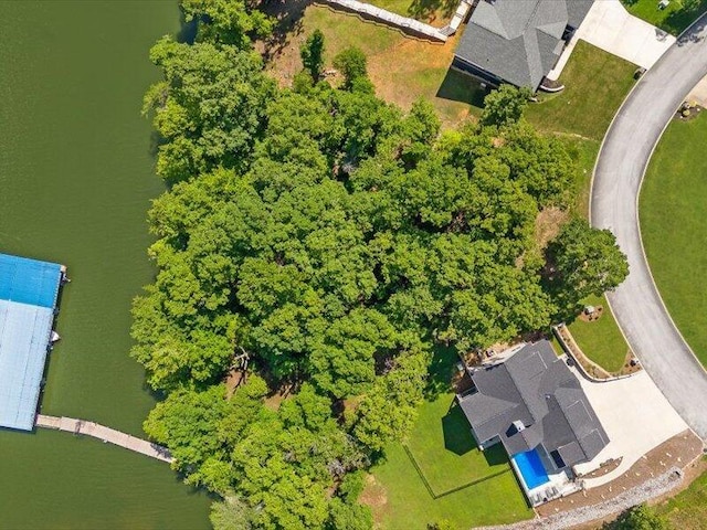 15887 Channel Pointe Dr, Sale Creek, TN 37373 - photo 23