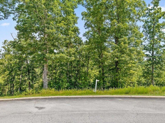 15887 Channel Pointe Dr, Sale Creek, TN 37373 - photo 25