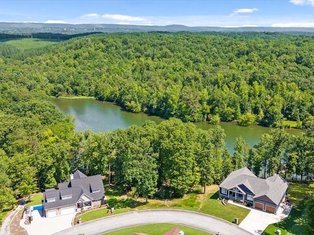 15887 Channel Pointe Dr, Sale Creek, TN 37373 - photo 3