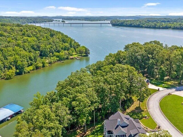 15887 Channel Pointe Dr, Sale Creek, TN 37373 - photo 7