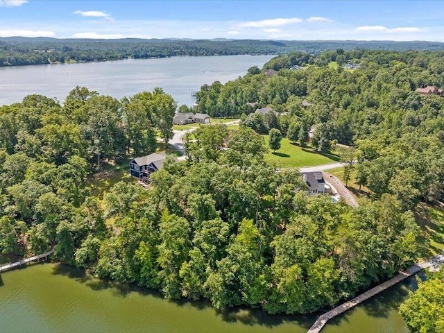 15887 Channel Pointe Dr, Sale Creek, TN 37373 - photo 10