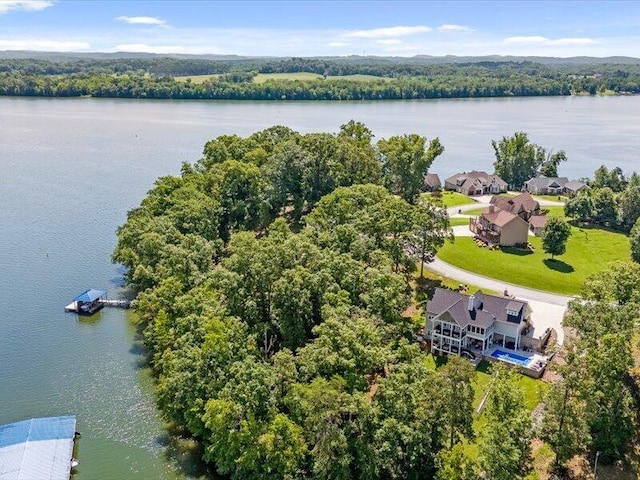 15887 Channel Pointe Dr, Sale Creek, TN 37373 - photo 8