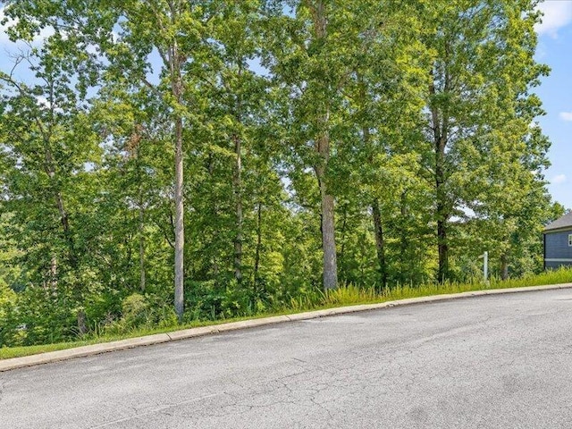 15887 Channel Pointe Dr, Sale Creek, TN 37373 - photo 26