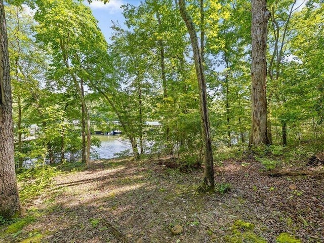 15887 Channel Pointe Dr, Sale Creek, TN 37373 - photo 31