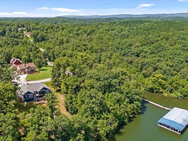 15887 Channel Pointe Dr, Sale Creek, TN 37373 - photo 13
