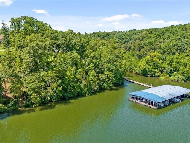 15887 Channel Pointe Dr, Sale Creek, TN 37373 - photo 19