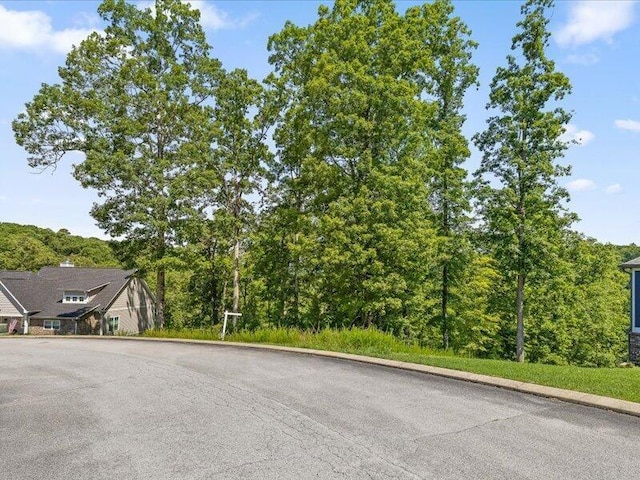 15887 Channel Pointe Dr, Sale Creek, TN 37373 - photo 24