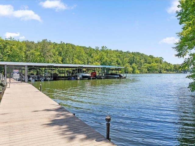15887 Channel Pointe Dr, Sale Creek, TN 37373 - photo 44