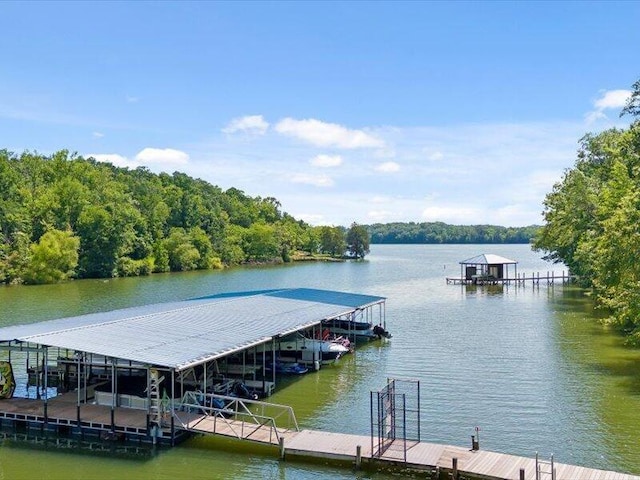 15887 Channel Pointe Dr, Sale Creek, TN 37373 - photo 41