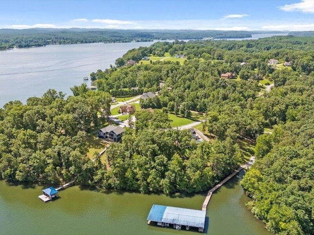 15887 Channel Pointe Dr, Sale Creek, TN 37373 - photo 17