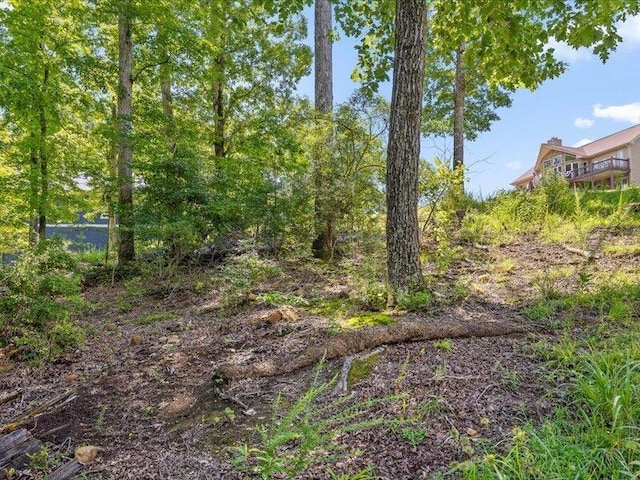 15887 Channel Pointe Dr, Sale Creek, TN 37373 - photo 32