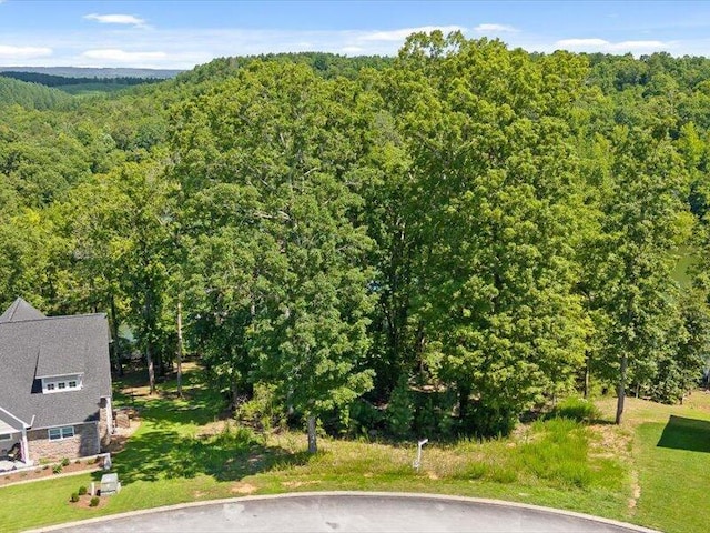 15887 Channel Pointe Dr, Sale Creek, TN 37373 - photo 9